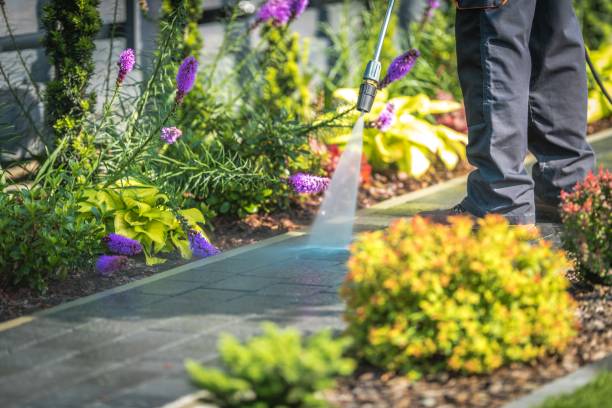 Best Sidewalk and Walkway Cleaning  in Lifornia City, CA